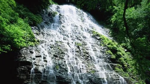 高性能稳定性
